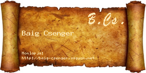 Baig Csenger névjegykártya